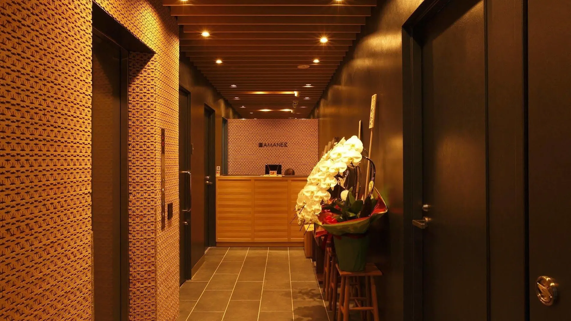 ***  Hotel Amanek Ginza East Tokyo Japan